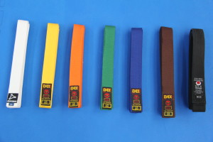 Cinturones de karate
