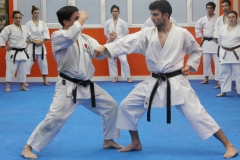 karate_kumite